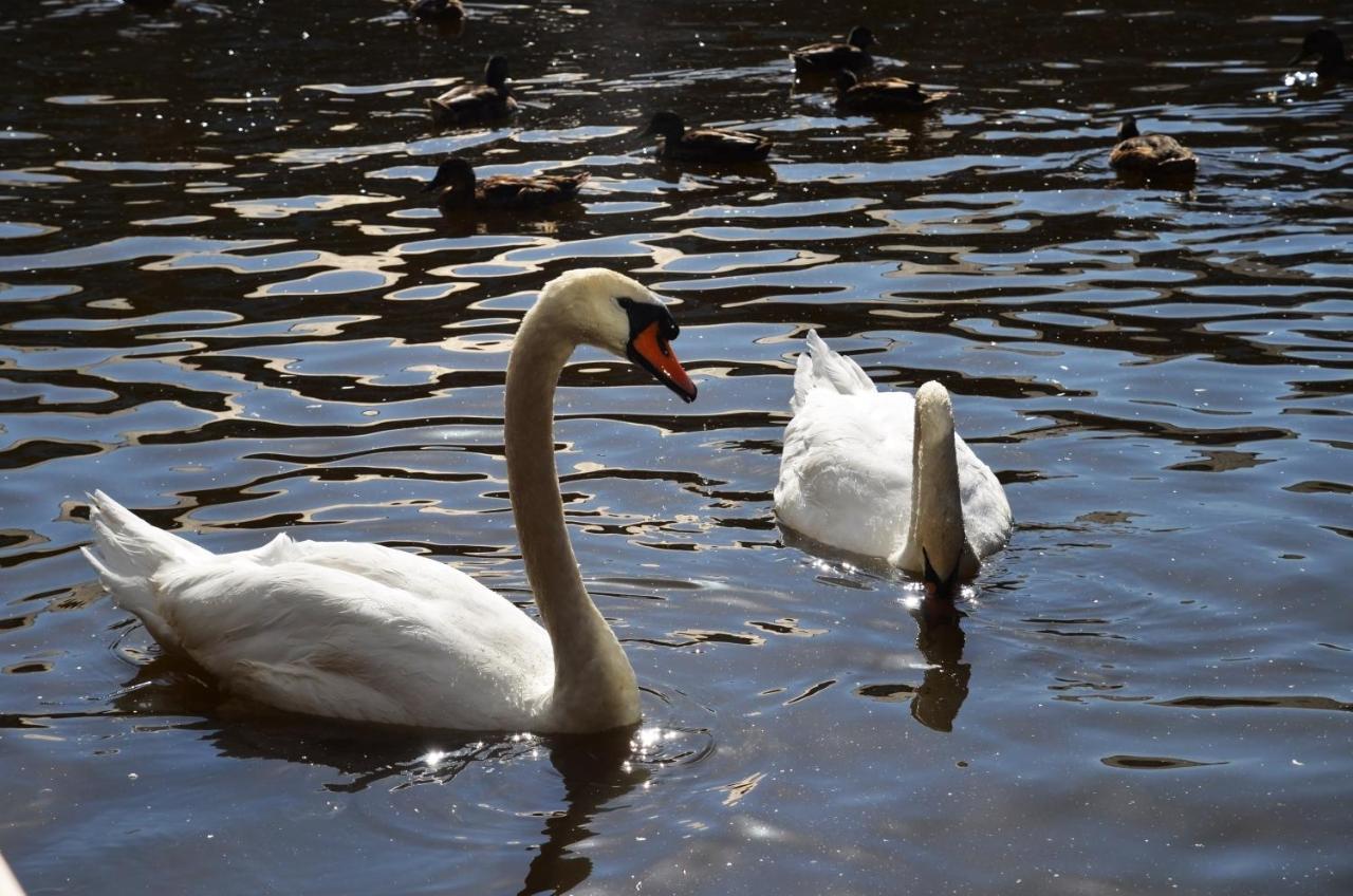 Appartamento Tewitfield Marina Carnforth Esterno foto